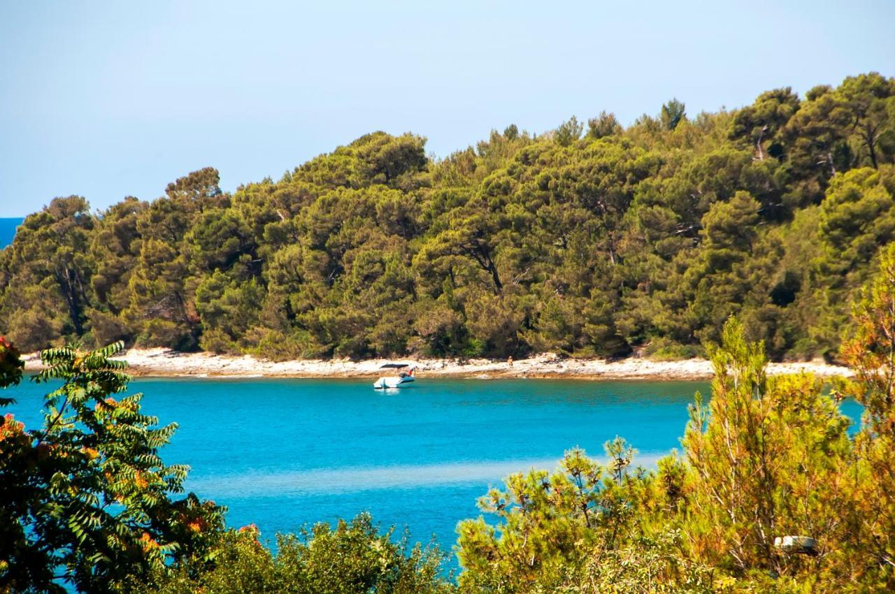 Pineta Mobile Home In Porton Biondi Camp Rovinj Exteriér fotografie